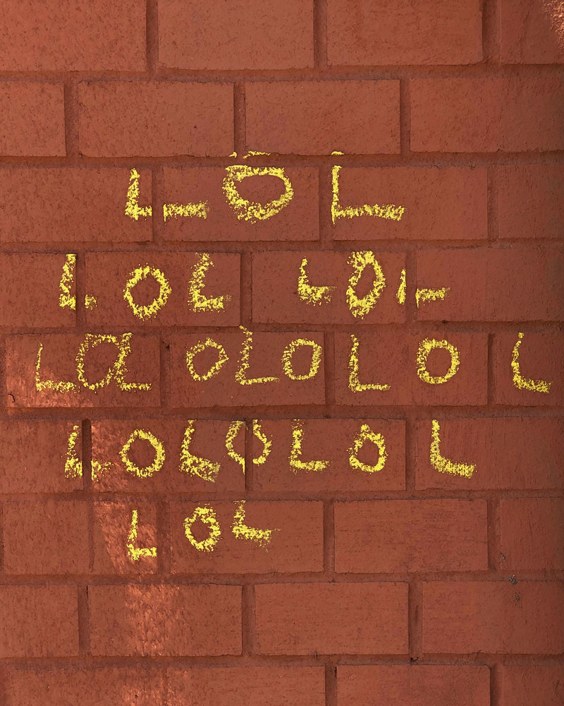 Img 9423 800 0x0x2505x3132 q85